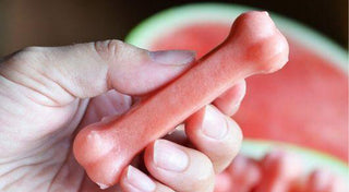 Frozen Watermelon Treats