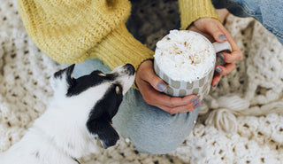 The Ultimate Pup-kin Spice Latte