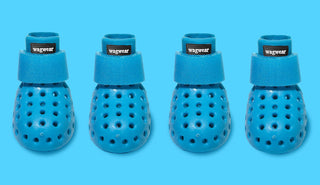 Everything to love about the Wellies Mojave!
