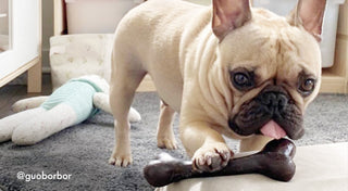 Bone Appétit - Choosing the best treats based on habits, age and more!