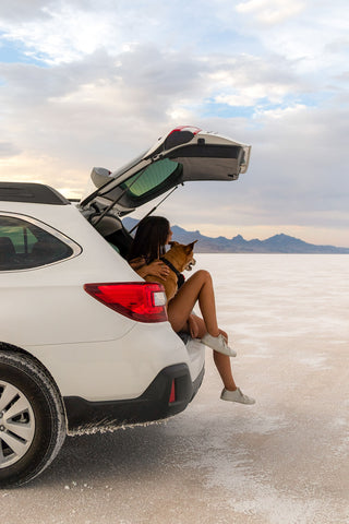 Road Trip! How to Prep For Long Car Rides With Your Dog