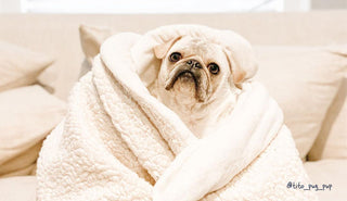 January Quarantine Bark-et List!