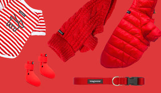 Valentine's Day Gift Guide