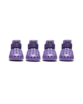 Purple Wagwellie Mojaves