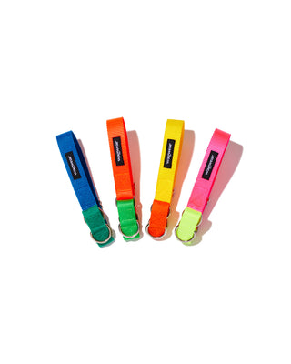 memphis collar in assortment of colors