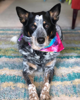 Model in Tie-Dye Bandana