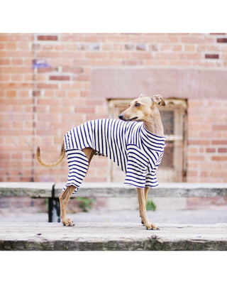 stripe turtle neck on model